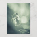 Zoek naar sneeuwklokjes posters Floreel