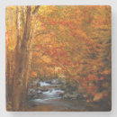 Zoek naar herfst bladeren onderzetters Sinaasappel