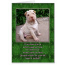 Zoek naar chinese shar pei briefkaarten Honden