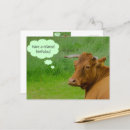 Zoek naar moo briefkaarten Humor