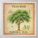 Zoek naar deco bloemen kunst Botanisch