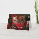 Zoek naar yorkies kaarten Schattig