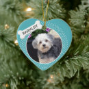 Zoek naar boot ornamenten Honden
