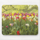 Zoek naar tulpen muismatten Lente