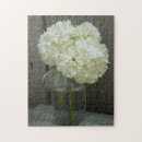Zoek naar floral fotografie Bloemen