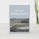 Zoek naar ijsbeer kaarten Humor