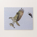 Zoek naar gevleugeld puzzels Roofdier