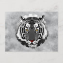 Zoek naar zwarte witte tijger briefkaarten Wild