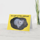 Zoek naar humoristische katten kaarten Voor haar