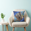 Zoek naar blauw accent kussens Jongen