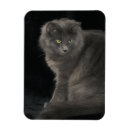 Zoek naar kitten magneten Grappig