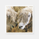 Zoek naar schapen servetten Schattig