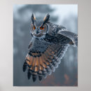 Zoek naar uilen posters Wild