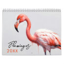 Zoek naar flamingo kalenders Natuur