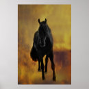 Zoek naar black horse kunst Friesisch
