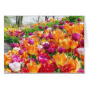 Zoek naar keukenhof tuinen briefkaarten Lisse