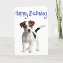 Zoek naar jack russell terrier dog briefkaarten Puppy