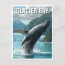 Zoek naar whale briefkaarten Natuur