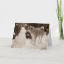 Zoek naar sneeuwhond kaarten Voor iedereen