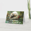 Zoek naar ratten verjaardagskaarten Knaagdier