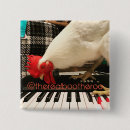 Zoek naar grappige kip buttons Schattig