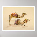 Zoek naar kamelen posters Petra