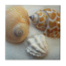 Zoek naar florida tegels Voor haar