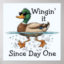 Zoek naar grappige woordspeling posters Vogel
