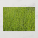 Zoek naar gras briefkaarten Abstract