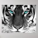 Zoek naar black cat kunst Print