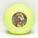 Zoek naar foto tennisballen Honden