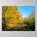 Zoek naar herfstbos posters Elk persoon