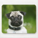 Zoek naar headshot muismatten Hond