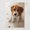 Zoek naar nadruk briefkaarten Hond