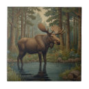 Zoek naar alaska tegels Wild