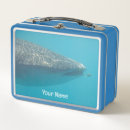 Zoek naar walvis lunchboxen Zee