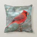 Zoek naar mannelijke kussens Winter