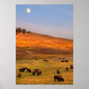 Zoek naar westerns posters Natuur