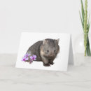 Zoek naar wombat kaarten Australië