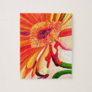 Zoek naar gerbera puzzels Floreel