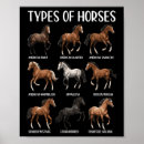 Zoek naar dressuur paard kunst Pony
