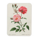 Zoek naar stoffen magneten Bloemen