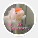 Zoek naar goudvis stickers Viskom