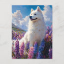 Zoek naar samoyed briefkaarten Bespioneerd