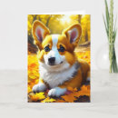 Zoek naar corgi honden kaarten Dieren