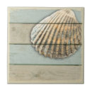 Zoek naar shell tegels Zeeschok