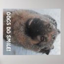 Zoek naar german shepherd kunst Huisdieren