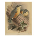 Zoek naar illustratie posters Natuur