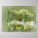 Zoek naar bijbel posters Natuur