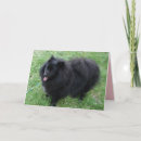 Zoek naar pomeranian hond kaarten Voor haar